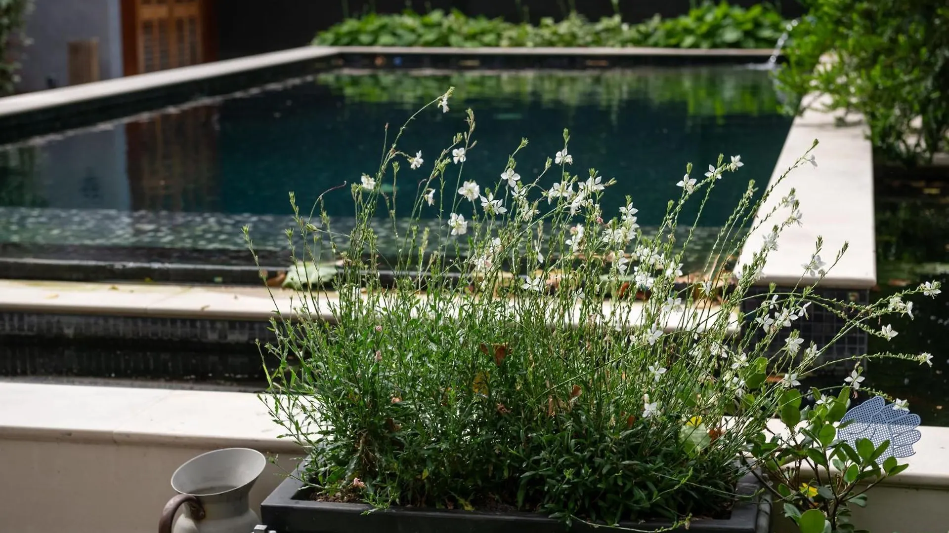 Guest house Villa Amara Aix-en-Provence